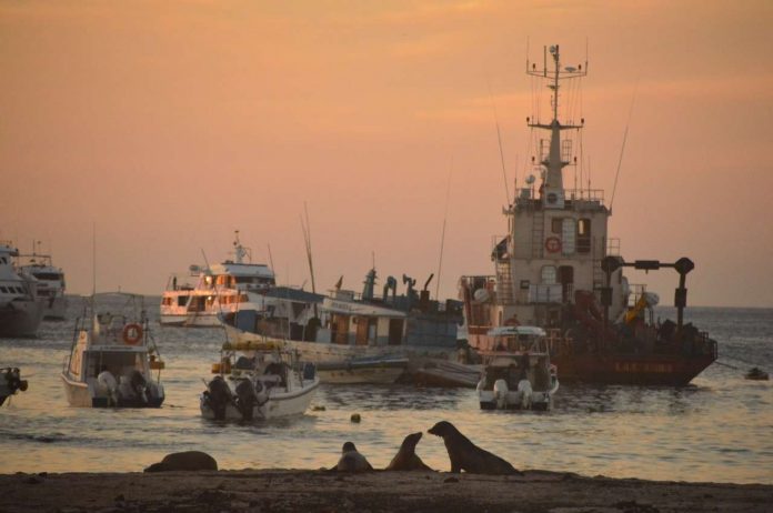 Actualmente. Quienes practican la pesca industrial y artesanal pueden hacerlo fuera de las 40 millas de la Reserva Marina de Galápagos.