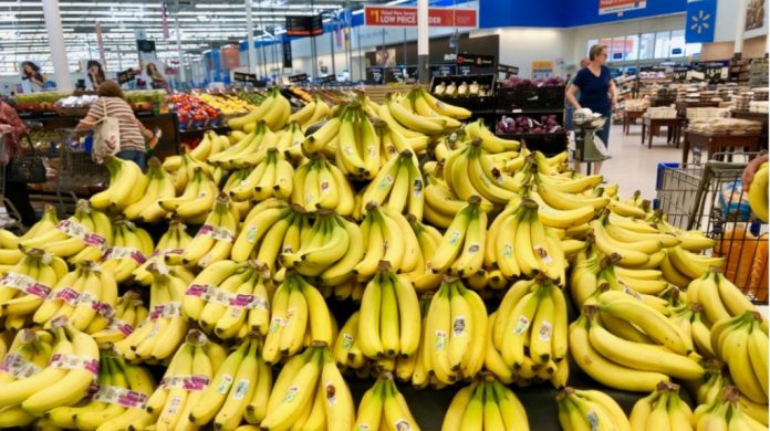 IMPORTANCIA. A pesar del mal inicio de año, el banano sigue siendo el principal producto de exportación. IMPORTANCIA. A pesar del mal inicio de año, el banano sigue siendo el principal producto de exportación.