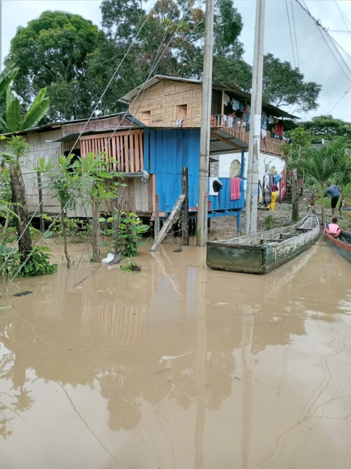 PREVENCIÓN. Con la temporada invernal se forman charcos de agua que se convierten en criaderos de mosquitos.