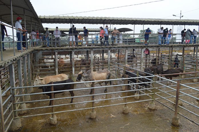 SITUACIÓN. Solo la feria ganadera abrirá las puertas, debido a que los contagios de Covid-19 continúan.