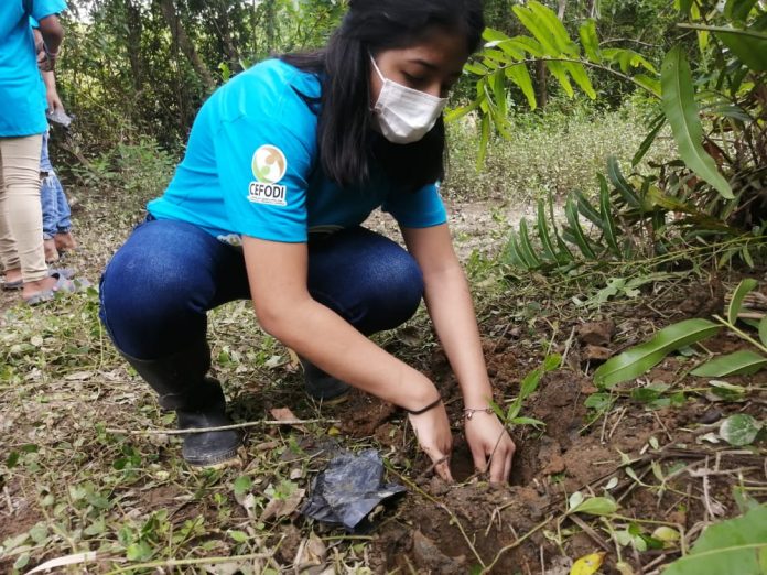 PROTECCIÓN. Las cuencas hídricas de Sálima fueron reforestadas, en el marco del Día Mundial de la Tierra. PROTECCIÓN. Las cuencas hídricas de Sálima fueron reforestadas, en el marco del Día Mundial de la Tierra.