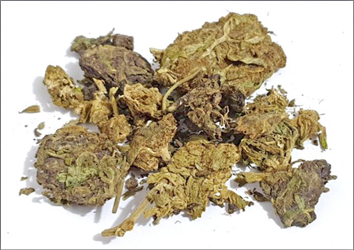 MARIHUANA