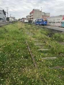 Las rieles del tren en total descuido en San Bartolo