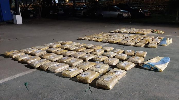 OPERATIVO. 135 bloques de marihuana fueron decomisados en la Isla Luis Vargas Torres la tarde de ayer.