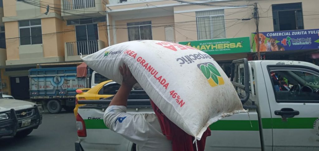 Agricultores sufren por la cai?da del precio del arroz 1
