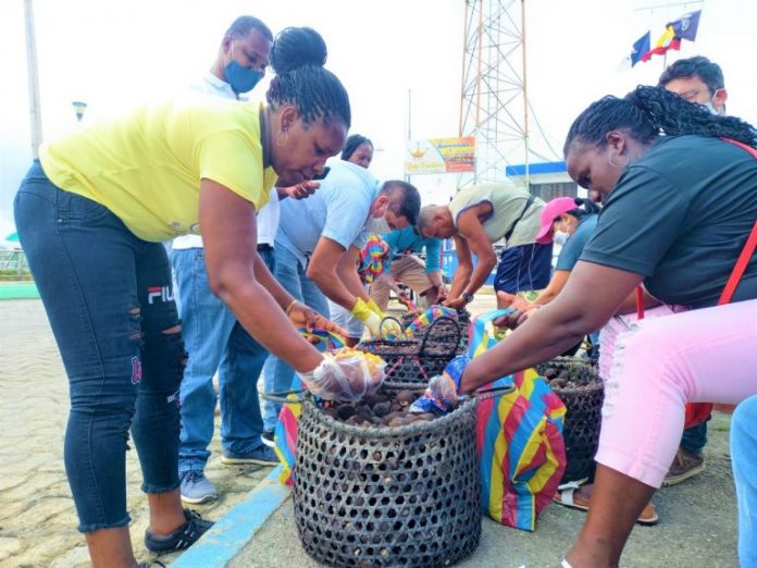 DESARROLLO. Pescadores artesanales y recolectoras de mariscos de los cantones Eloy y San Lorenzo recibirán apoyo internacional. DESARROLLO. Pescadores artesanales y recolectoras de mariscos de los cantones Eloy y San Lorenzo recibirán apoyo internacional.