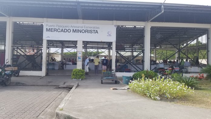CONDICIONES. Vendedores informales y formales fueron ingresados al mercado minorista del Puerto Pesquero Artesanal. CONDICIONES. Vendedores informales y formales fueron ingresados al mercado minorista del Puerto Pesquero Artesanal.