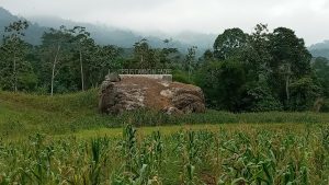 En Pasaje hallan roca con talladuras incas