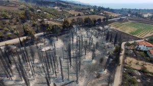EVIA. Una foto tomada con un dron muestra un área quemada después de un incendio forestal en Rovies, isla de Evia,