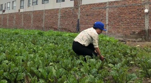 Preocupación por modificación del área de fraccionamiento de tierras