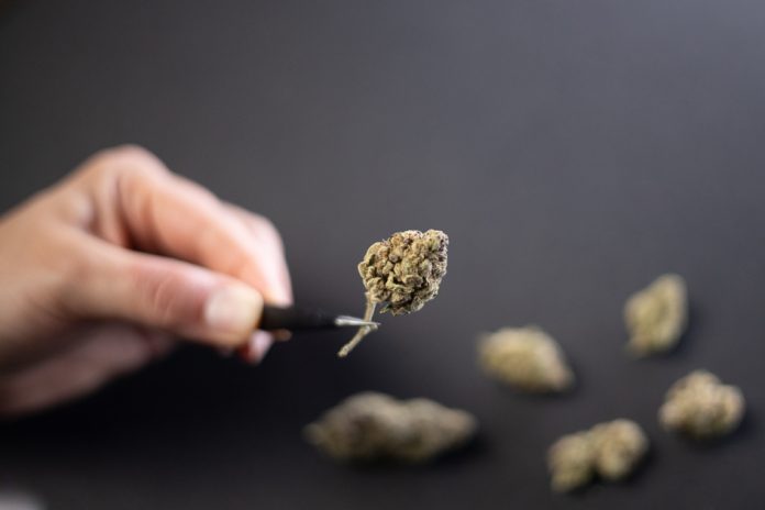 APROBACIÓN. La Asamblea despenalizó en 2020 el uso del Cannabis para uso medicinal.